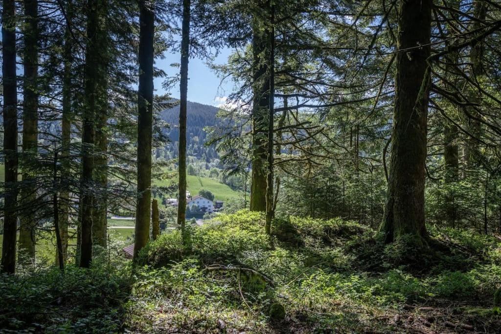 Charmant Chalet Cosy & Paisible En Pleine Nature - Refuge Idyllique Pour 5P Gerardmer Luaran gambar