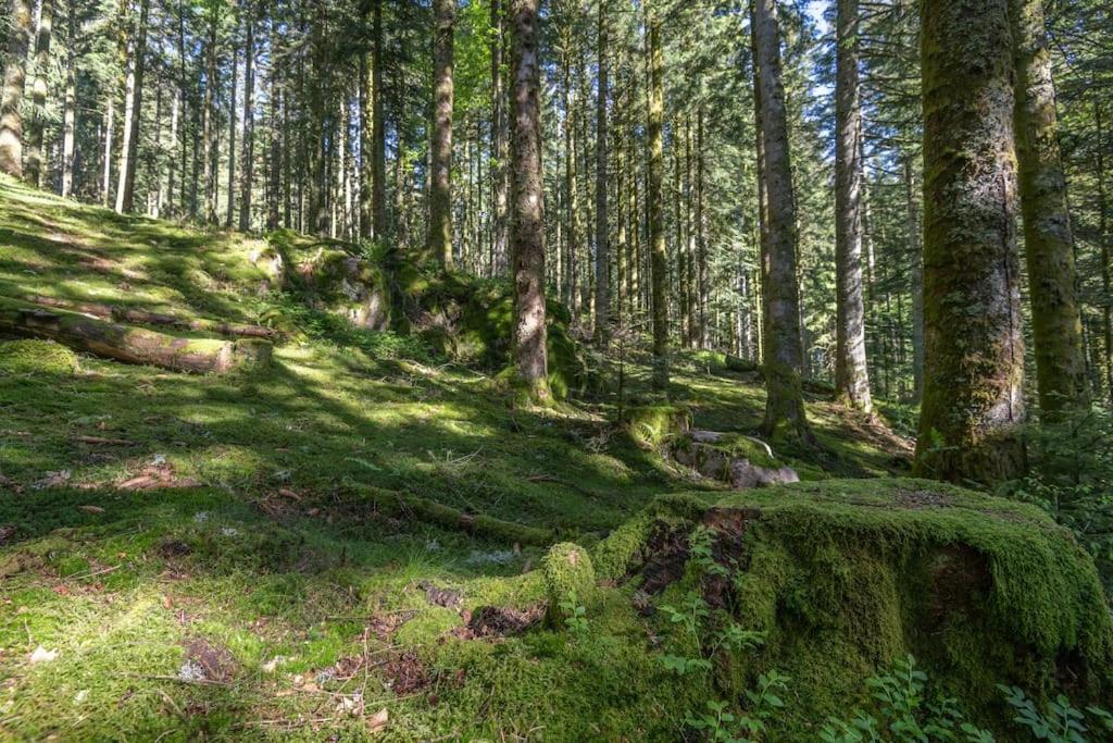 Charmant Chalet Cosy & Paisible En Pleine Nature - Refuge Idyllique Pour 5P Gerardmer Luaran gambar